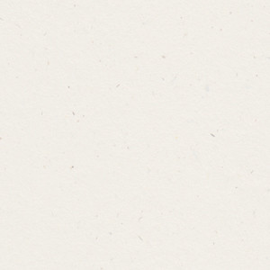 Wrapper background - Gainesville, Florida Family And Business Law Office